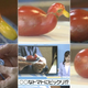 Illustration for article titled Okay, This Tomato Looks Like a Duck